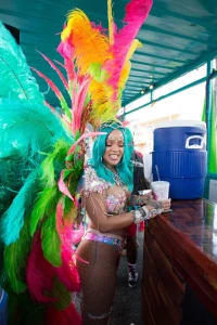 Rihanna Barbados Festival Pussy Slip Leaked