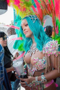 Rihanna Barbados Festival Pussy Slip Leaked 74536
