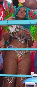 Rihanna Barbados Festival Pussy Slip Leaked 74538