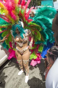 Rihanna Barbados Festival Pussy Slip Leaked 74540