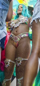 Rihanna Barbados Festival Pussy Slip Leaked 74547
