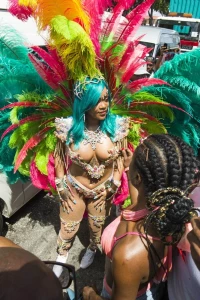 Rihanna Barbados Festival Pussy Slip Leaked 74550
