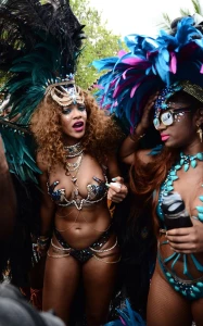 Rihanna Bikini Festival Nip Slip Photos Leaked 94629
