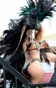 Rihanna Bikini Festival Nip Slip Photos Leaked 94633