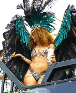 Rihanna Bikini Festival Nip Slip Photos Leaked 94637