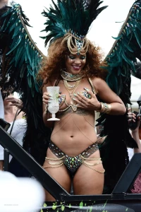 Rihanna Bikini Festival Nip Slip Photos Leaked 94638