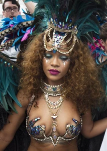 Rihanna Bikini Festival Nip Slip Photos Leaked 94645