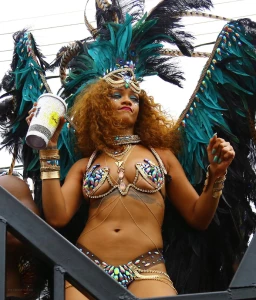 Rihanna Bikini Festival Nip Slip Photos Leaked 94649