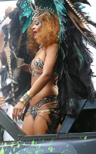 Rihanna Bikini Festival Nip Slip Photos Leaked 94660