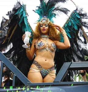 Rihanna Bikini Festival Nip Slip Photos Leaked 94661